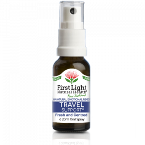 Travel Support
