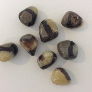 Septarian Stone ( Dragon Stones)