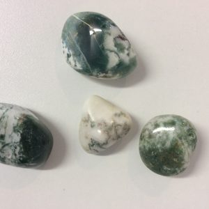 Tree Agate
