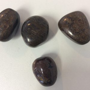 Bronzite