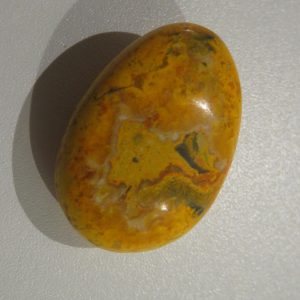 Bumble Bee Jasper
