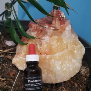 Monty's Flower Of Life Essence (Processing.)