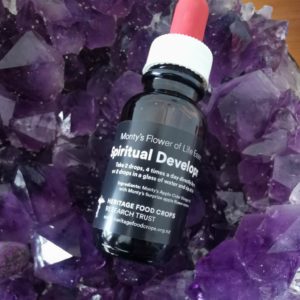 Monty's Flower Of Life Essence (Spiritual Development/Growth)