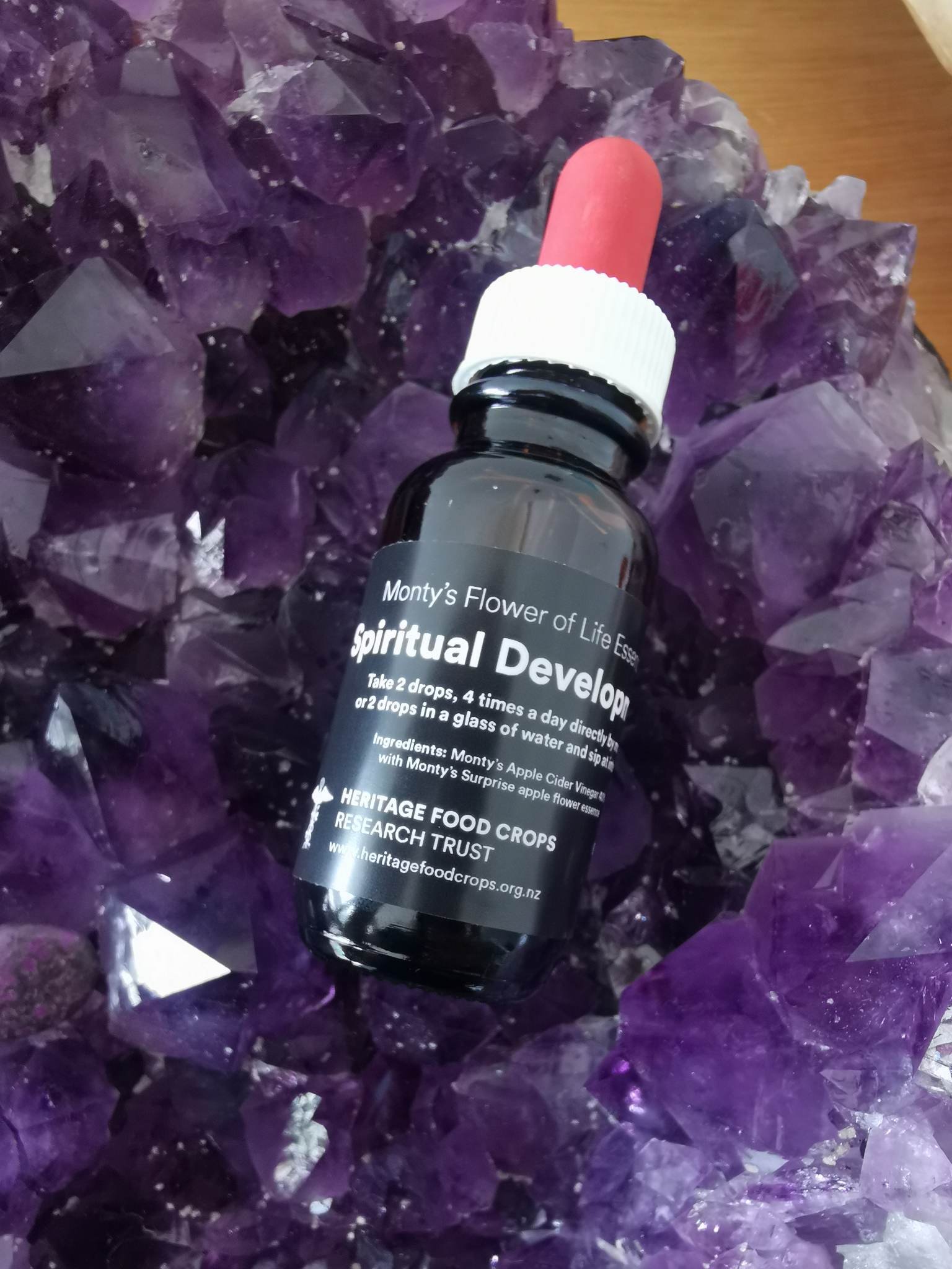 Monty's Flower Of Life Essence (Spiritual Development/Growth)