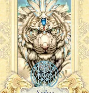 Seeker Oracle Card Deck