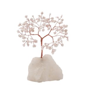 White Jade Tree