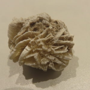 Desert Rose