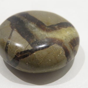 Septarian