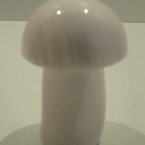 Mango Calcite Mushroom