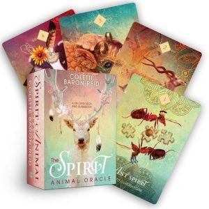 Spirit Animal Oracle Card Deck Regular